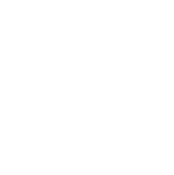 Technical expertise